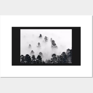 Nature, Morning misty clouds settle in East Clear Creek, Coconino National Forest, Arizona Posters and Art